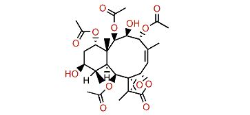 Briaexcavatin P